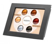 Borne tactile à écran LCD 12,1’’