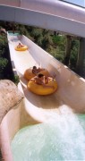 Bouée pour piscine
