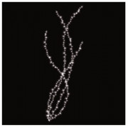 Bouquet pétillant avec lucioles LED pétillantes