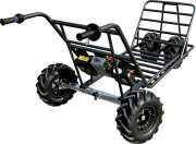 Brouette chariot agraire