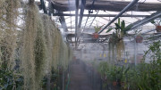 Brumisation pour culture agricole 