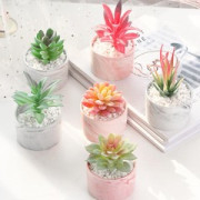 Pot de fleur de table