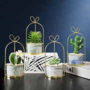 catctus en pot marbre