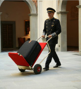 Chariot à bagages pliable
