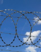 Clôture barbelée en spiral plat