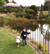 Clôture de bassin en métal