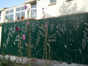 Clôture en tôle décorative PAKORIS