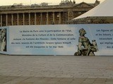 Clôture fixe à lames en acier