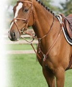 Collier de chasse en cuir et élastique
