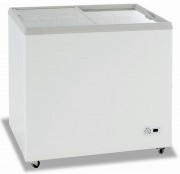 Congelateur vitré professionnel