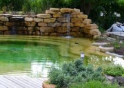 Construction piscine collective naturelle