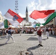 Drapeau grand format avec manche plastique