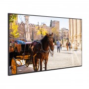 Ecran professionnel standard 49"55"