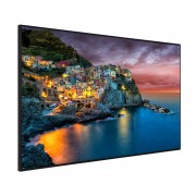 Ecran Professionnel Ultra Slim 55´´