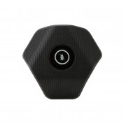 Microphone crestron