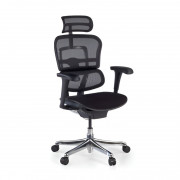 Fauteuil ergonomique Ergohuman en tissu et résille - Support lombaire et têtière - Hauteur assise: 49 à 60 cm - Accoudoirs 3D - Poids max: 150 kg - L.67,5 x H.135 cm