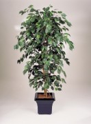 Ficus exotique artificiel 
