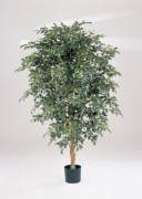 Ficus folia artificiel
