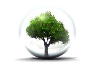 Formation aux Directives environnementales pour professionnel