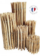 GANIVELLE CHATAIGNIER