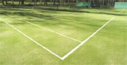 Gazon pour terrain de tennis