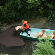 Granulé absorbant pour hydrocarbures en liège