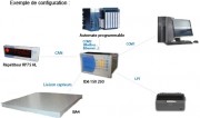 Indicateur pesage industriel