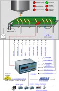 Indicateur process pour pesage en continu 