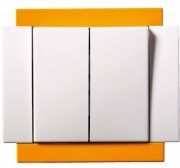 Interrupteur et bouton poussoir