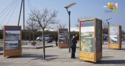 Location totem d'affichage bois
