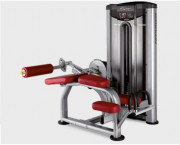 Machine à ischios allongé