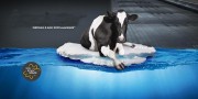 Matelas logette d'élevage