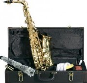 Mc Brown saxophone alto 
