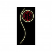 Motif lumineux décoratif