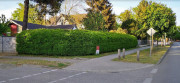 Mur anti inondation végétal