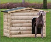 Niche chien en bois