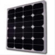 Panneau solaire 40w 12v 