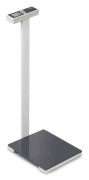Pèse-personne à colonne 250 Kg