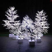 Peupliers lumineux LED - Hauteur : 3.5m - 25 branches - 3 couleurs - Protection IP55