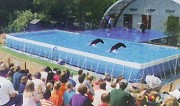 Piscine sur mesure
