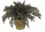 Plante artificielle d'extérieur juniperus