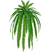 Plante artificielle décorative de grande taille