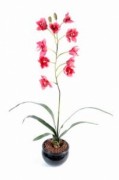 Plante fleurie cybidium artificielle 