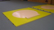 Plateau pour lancer de poids