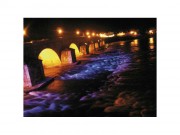 Projecteur LED pour bassin aquatique