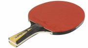 Raquette de tennis de table 2 étoiles