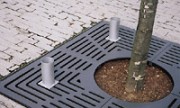 Sabot d'arbre