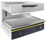 Salamandre électrique