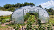 Serre agricole professionnelle sur mesure