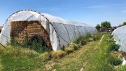 Serre agricole